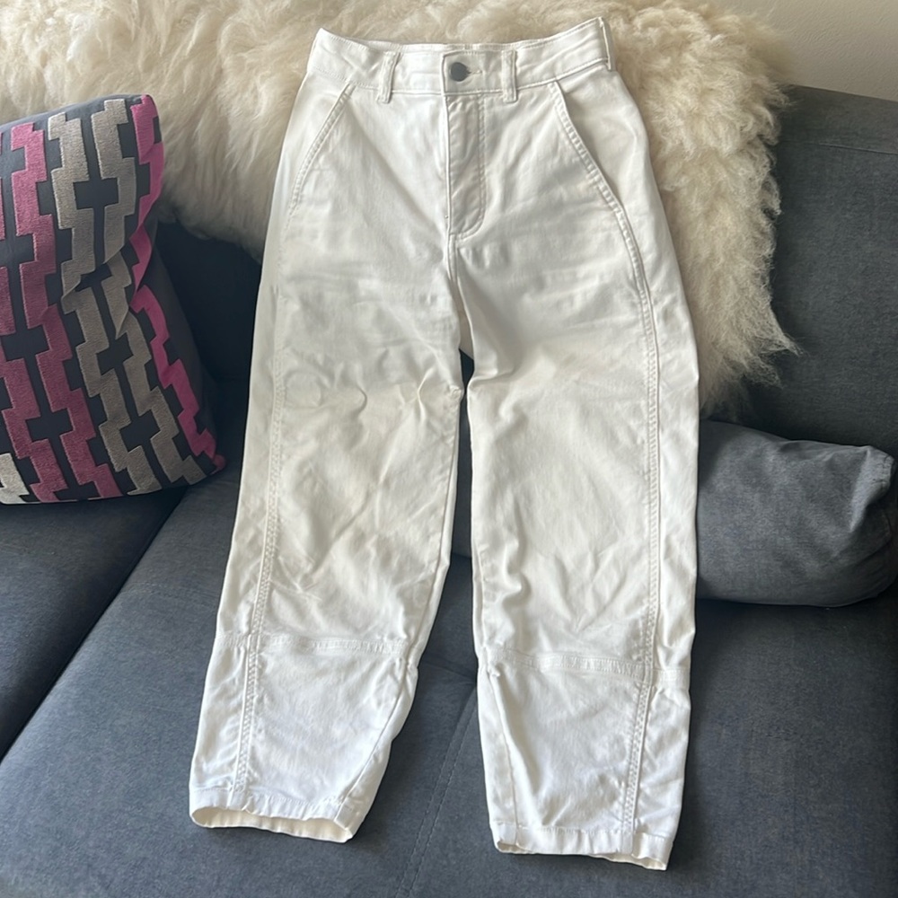 Everlane The Utility Barrel Pant